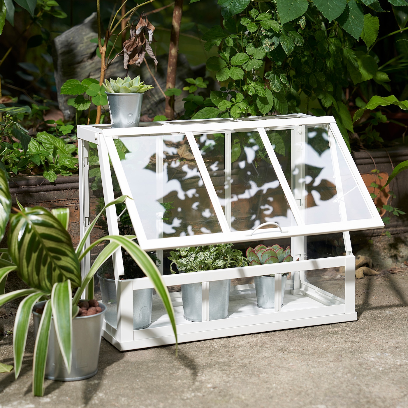 ÅkerbÄr Greenhouse - In/outdoor/white 45 Cm